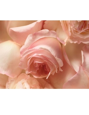 Eau de parfum Ralph Lauren Romance para mujer