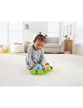 Tortuga de aprendizaje Fisher Price