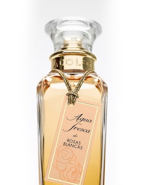 Eau de toilette Adolfo Dominguez Agua Fresca De Rosas Blancas para mujer