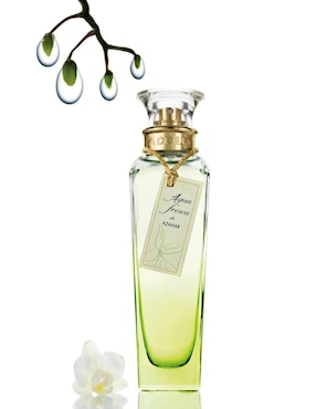 Eau de toilette Adolfo Dominguez Agua Fresca De Azahar para mujer