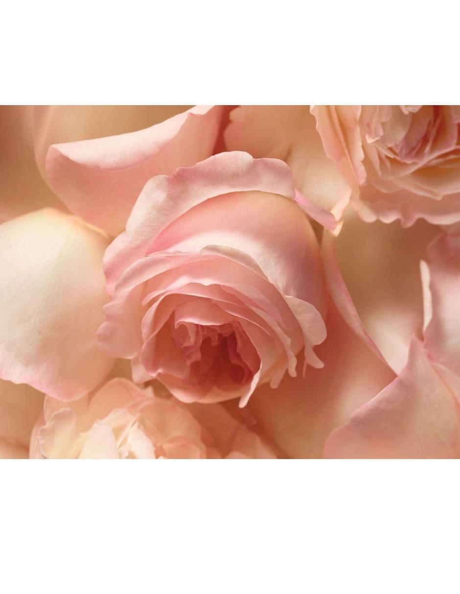 Eau de parfum Romance para mujer 3
