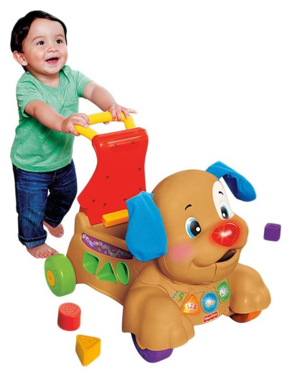Perrito Camina Conmigo 3