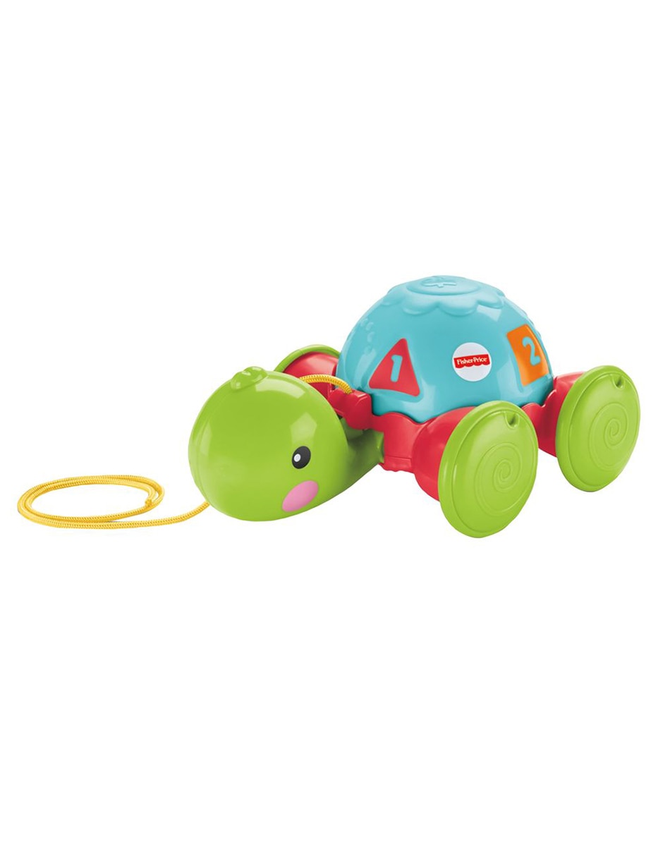 Tortuga de aprendizaje 2